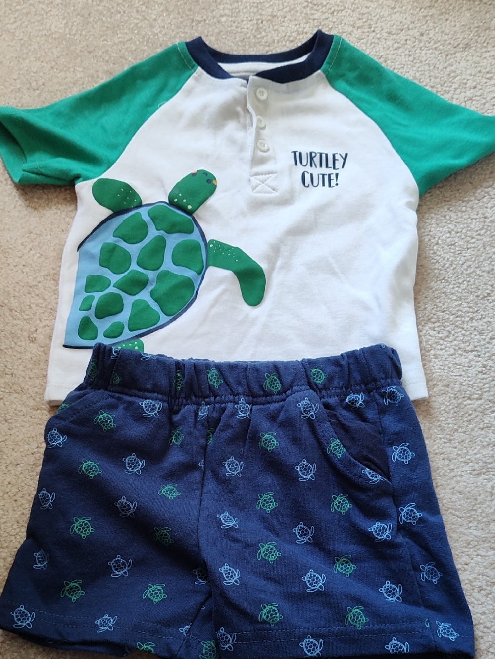 Quiltex Green, White & Navy Turtle Top and Shorts Set